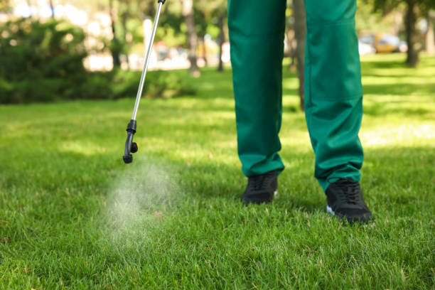 Best Local Pest Control Services  in Xenia, OH