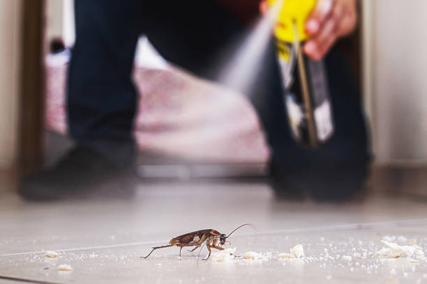 Best Pest Control Near Me in Xenia, OH